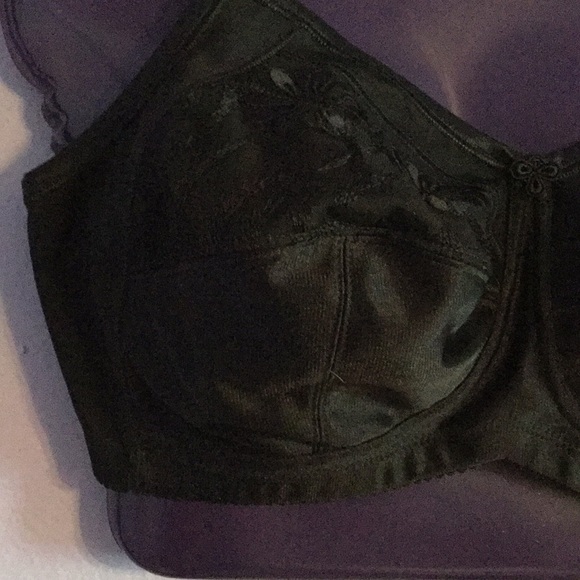 Anita Women's Safina 5448 Support Bra - Non-Wired, Berry, Size 34F